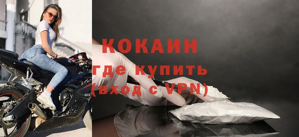 прущий лед Алзамай