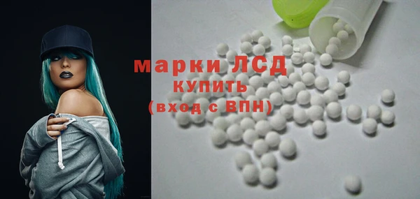 прущий лед Алзамай