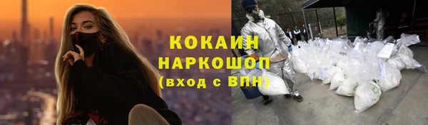 прущий лед Алзамай
