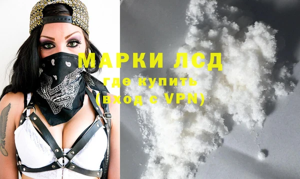 прущий лед Алзамай