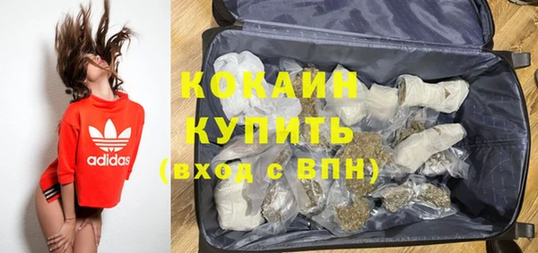 прущий лед Алзамай