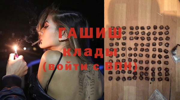 дживик Абаза