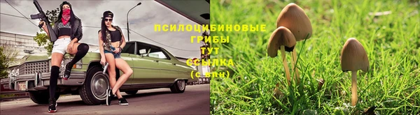 прущий лед Алзамай