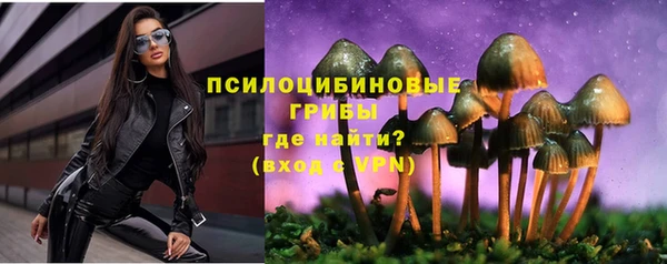 spice Алексеевка