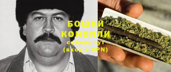 ГАЛЛЮЦИНОГЕННЫЕ ГРИБЫ Осинники