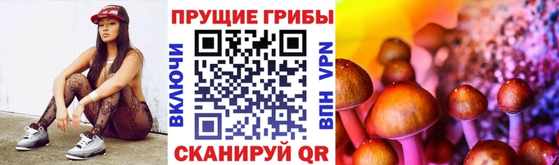 Псилоцибиновые грибы MAGIC MUSHROOMS  купить закладку  Старая Купавна 